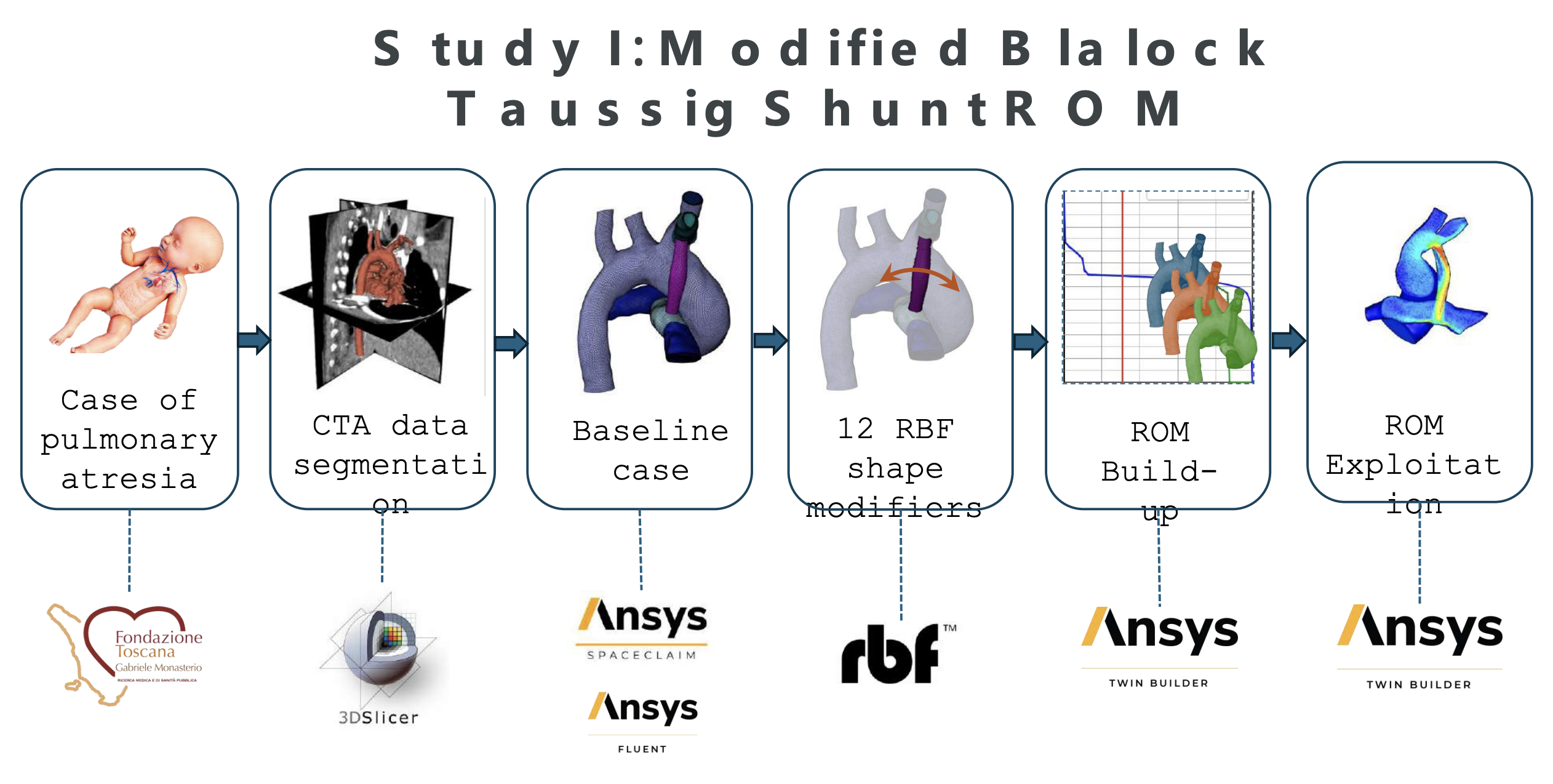 The Role of RBF mesh morphing in Cardiovascular Computational Modeling: A Critical Examination of Eirini Kardampiki’s Thesis