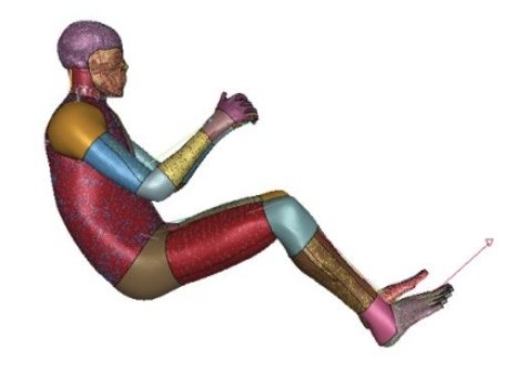 Master's Thesis Explores Reduced-Order Modeling for Human Body Articulation
